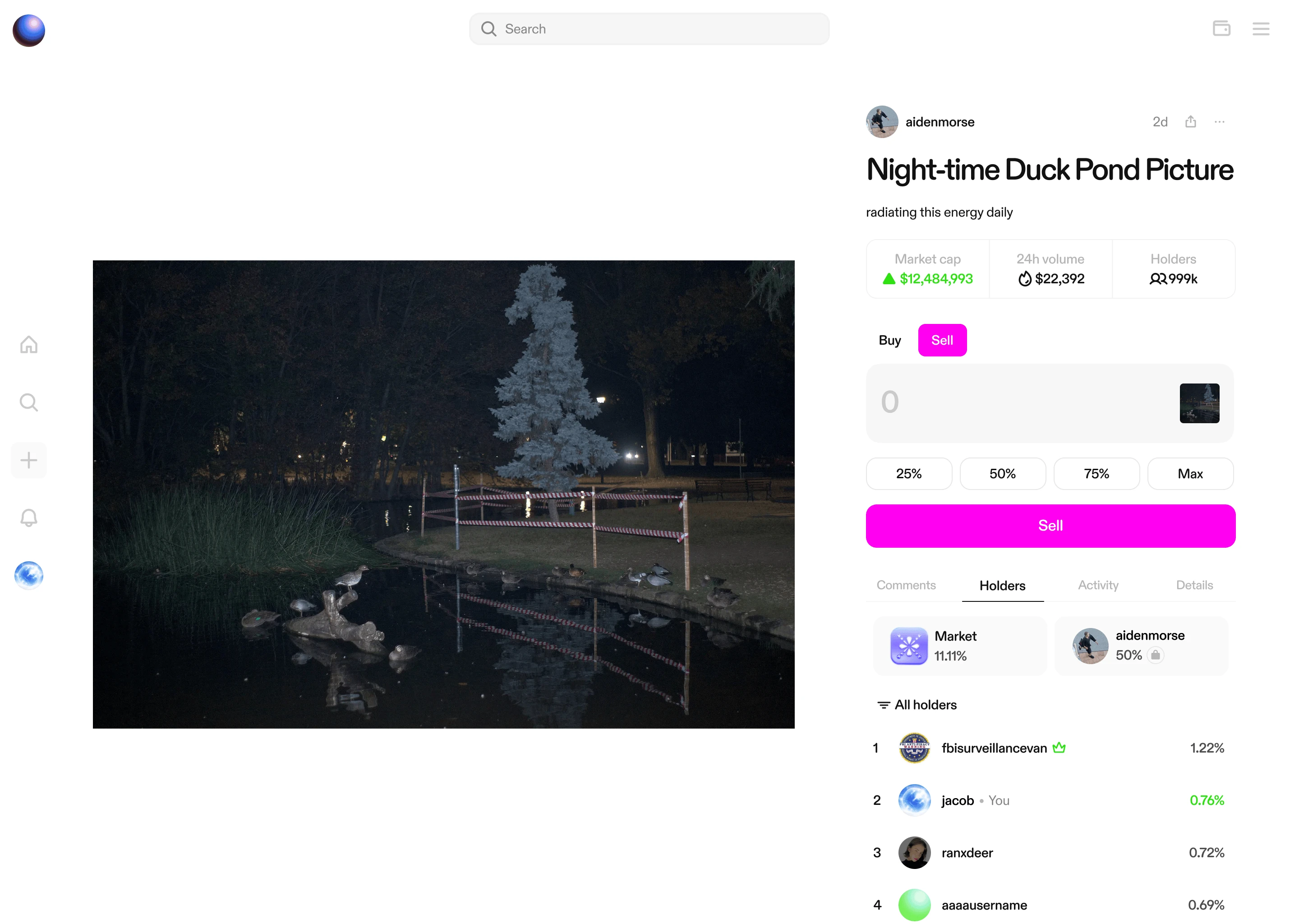 Night-time Duck Pond coin page on desktop